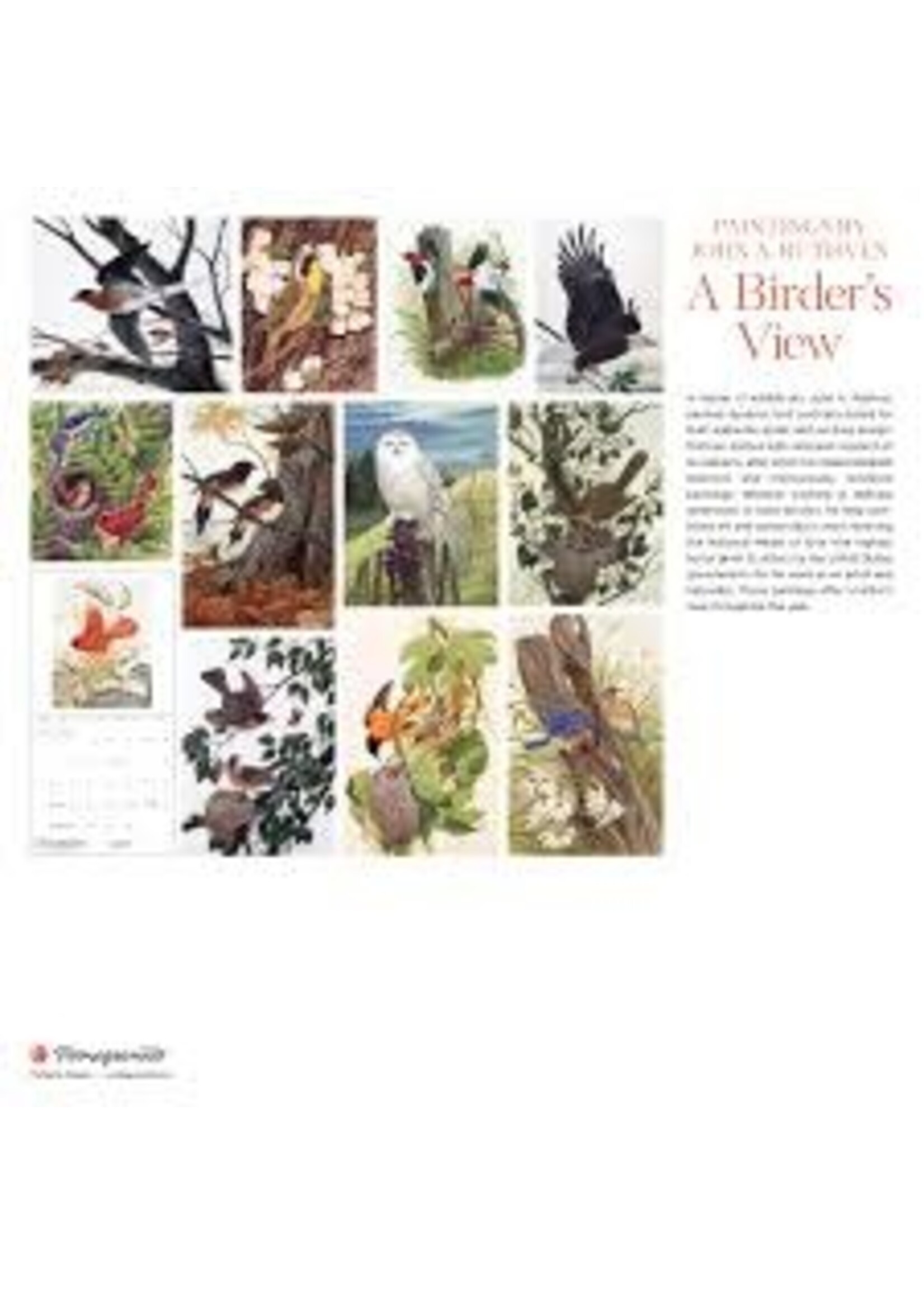 Calendar 2026 Paintings by John Ruthven Birder's View