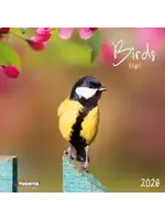 Cal2026 Birds Vogel