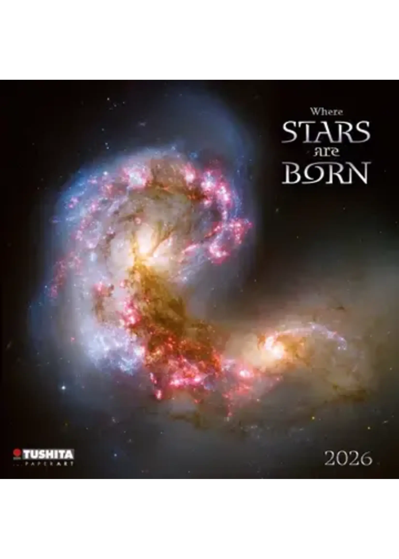 Cal2026 Where Stars are Born