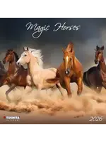 Cal2026 Magic Horses
