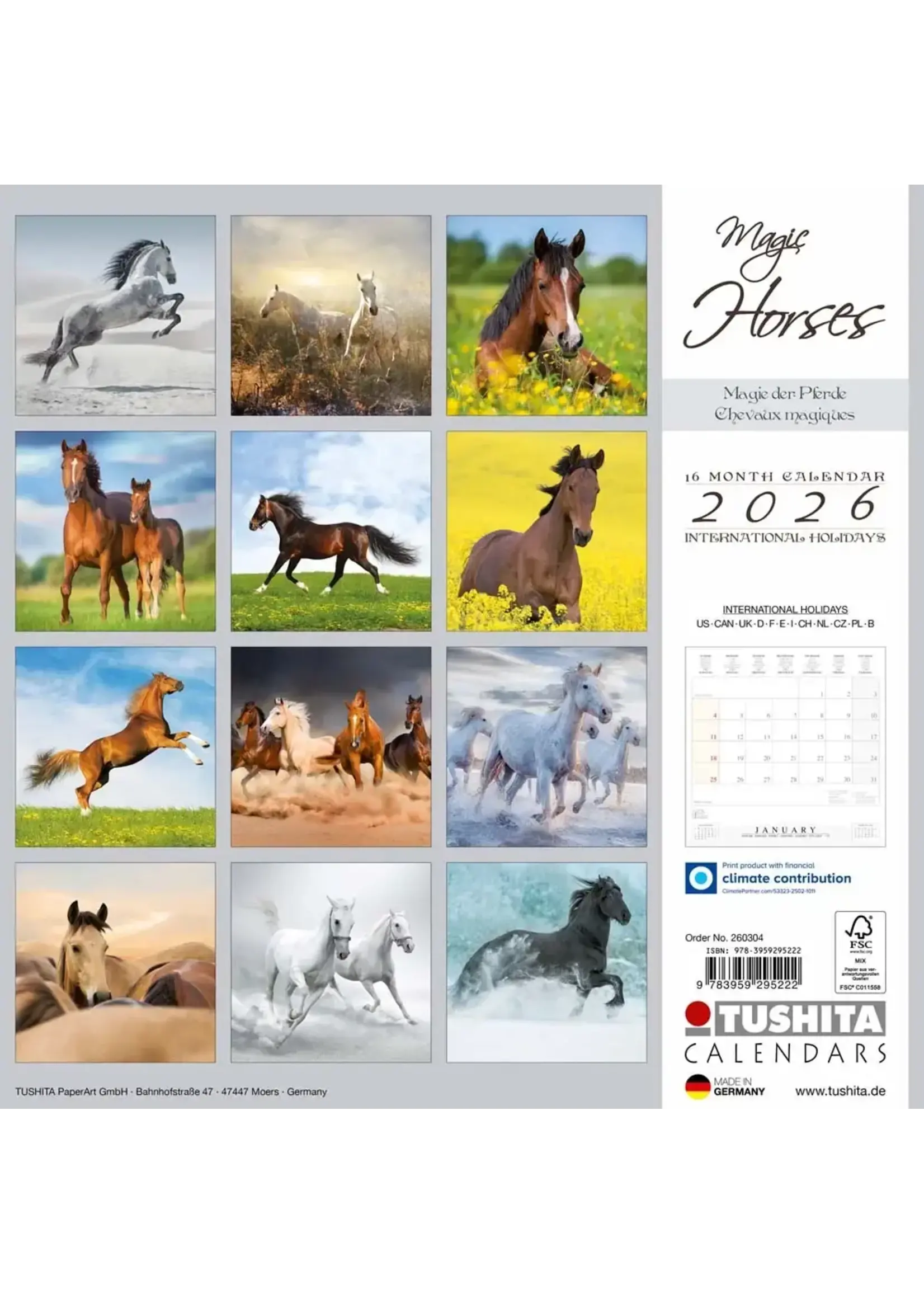 Cal2026 Magic Horses