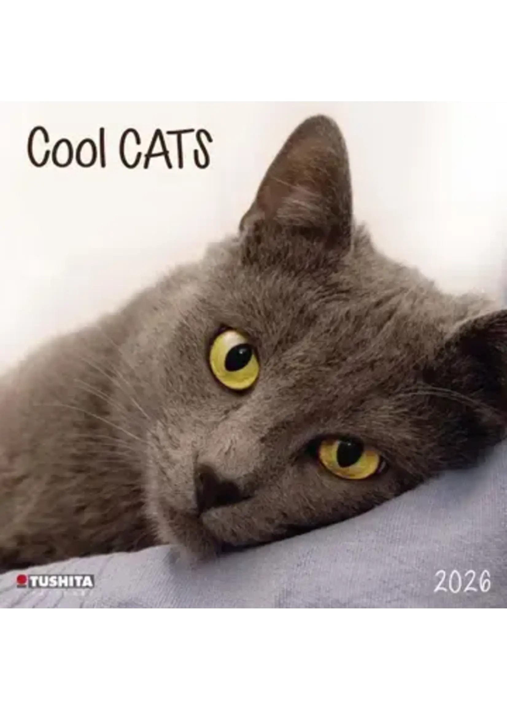 CAL2026 Cool Cats