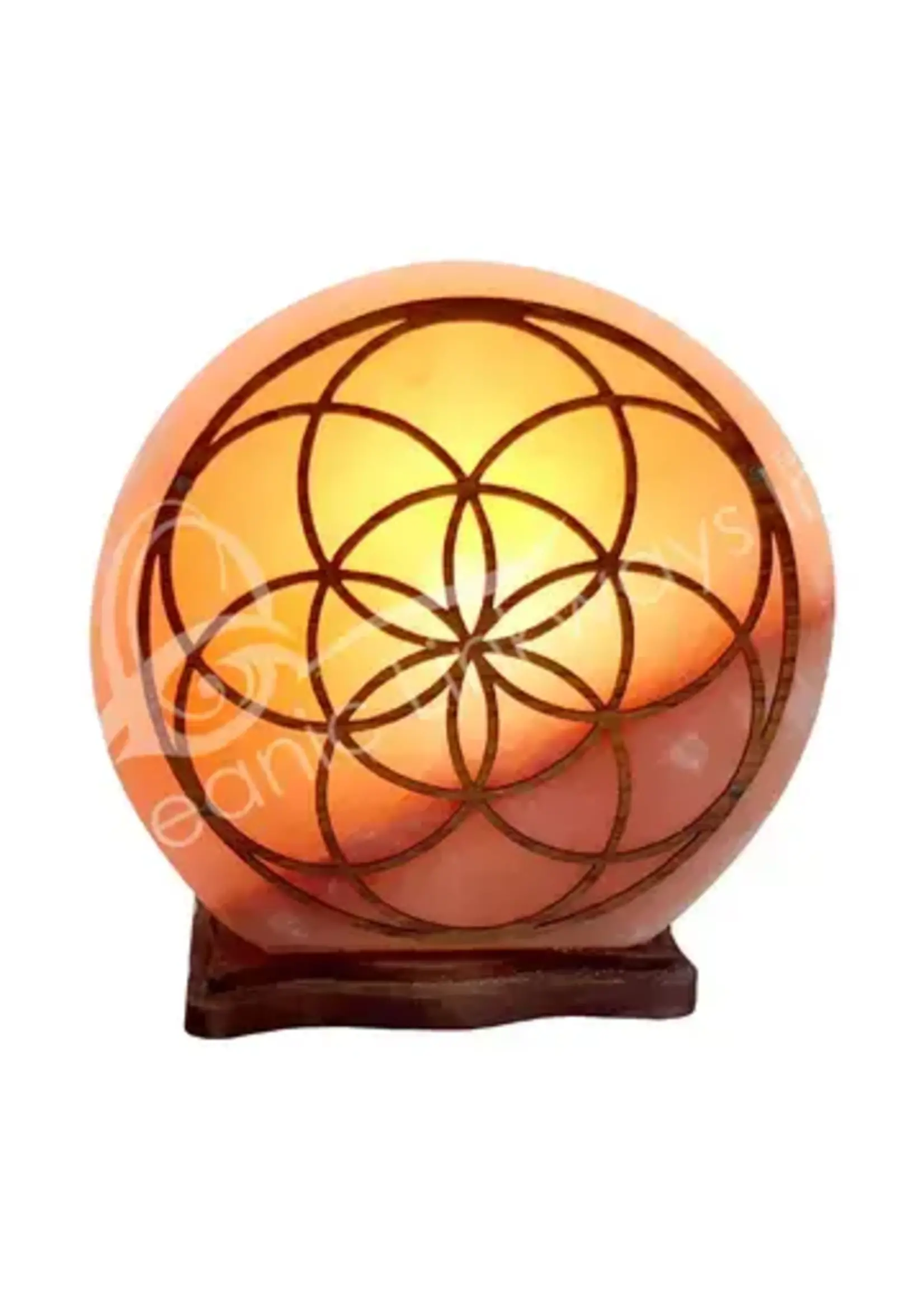 Salt Lamp Seed of Life 7"