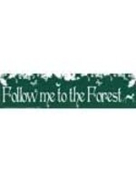 BS Follow me to the Forest