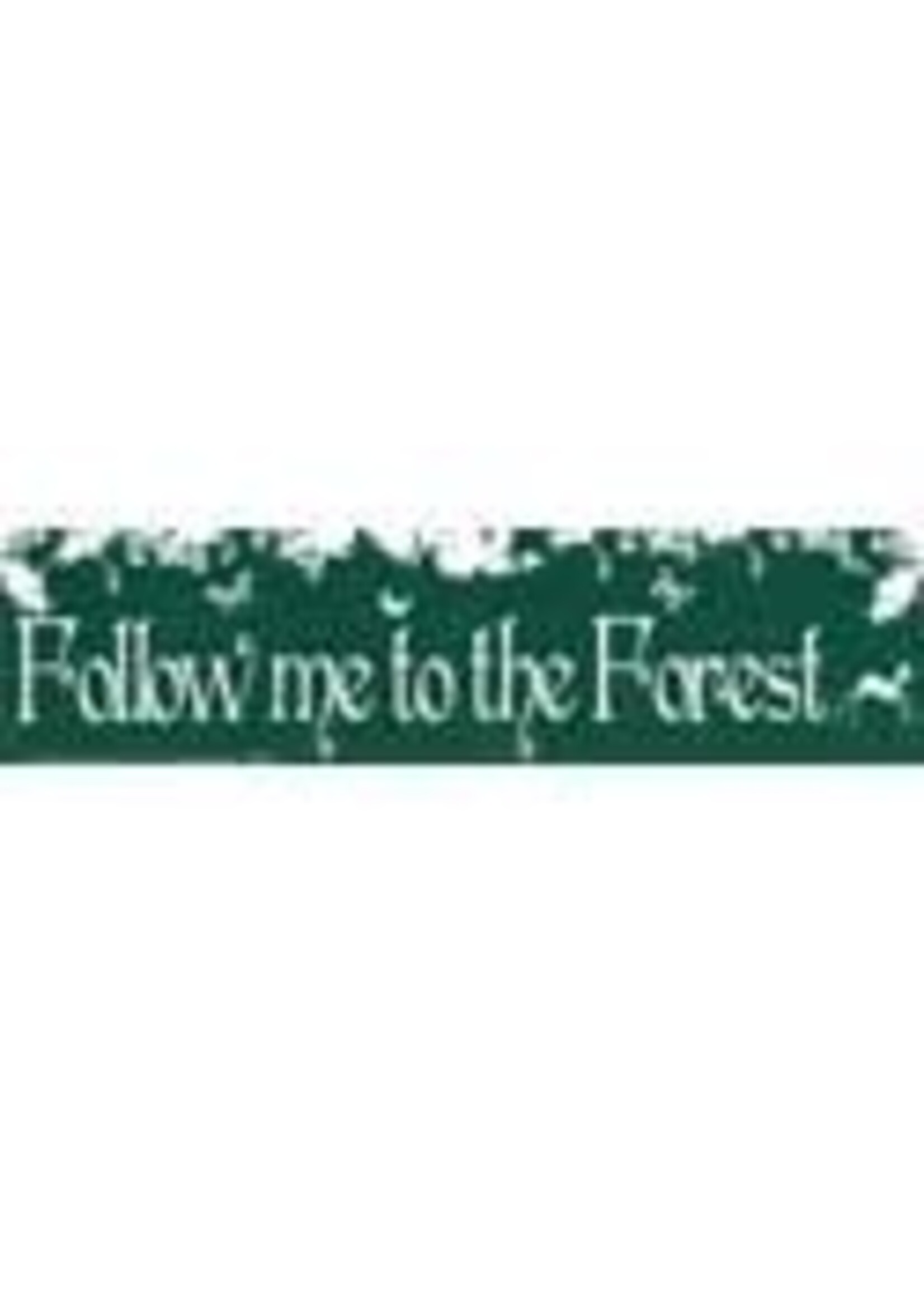 BS Follow me to the Forest