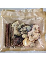 Lansing Holiday Organic Simmer Pot Packs | Spicy Pear