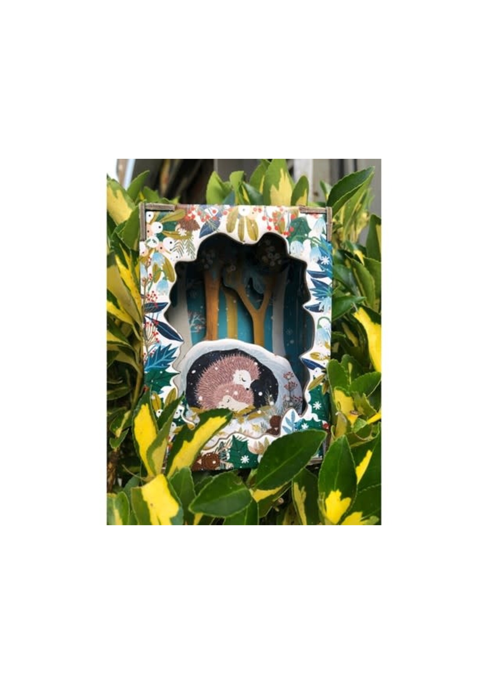 Roger La Borde Snowy Sanctuary Hedgehogs Pop & Slot Diorama