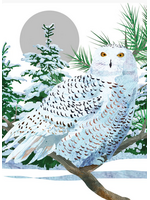Card Xmas Snowy White Owl