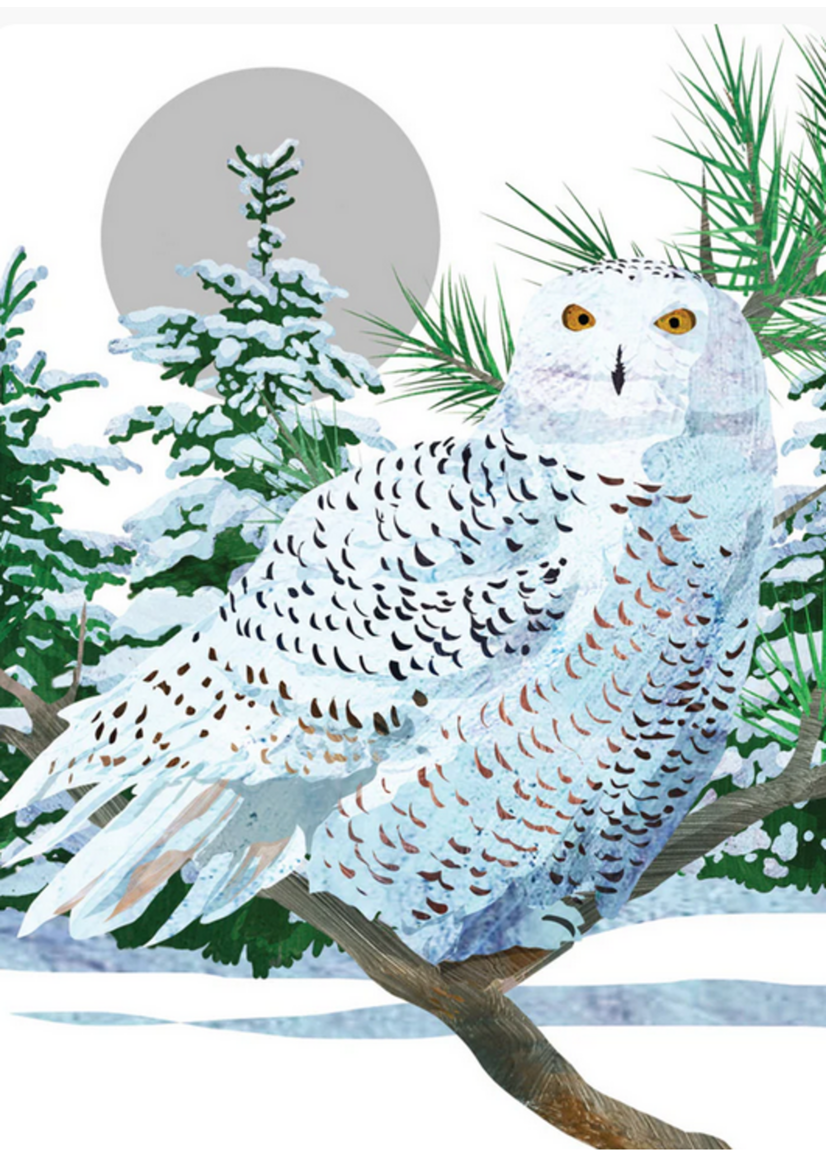 Card Xmas Snowy White Owl