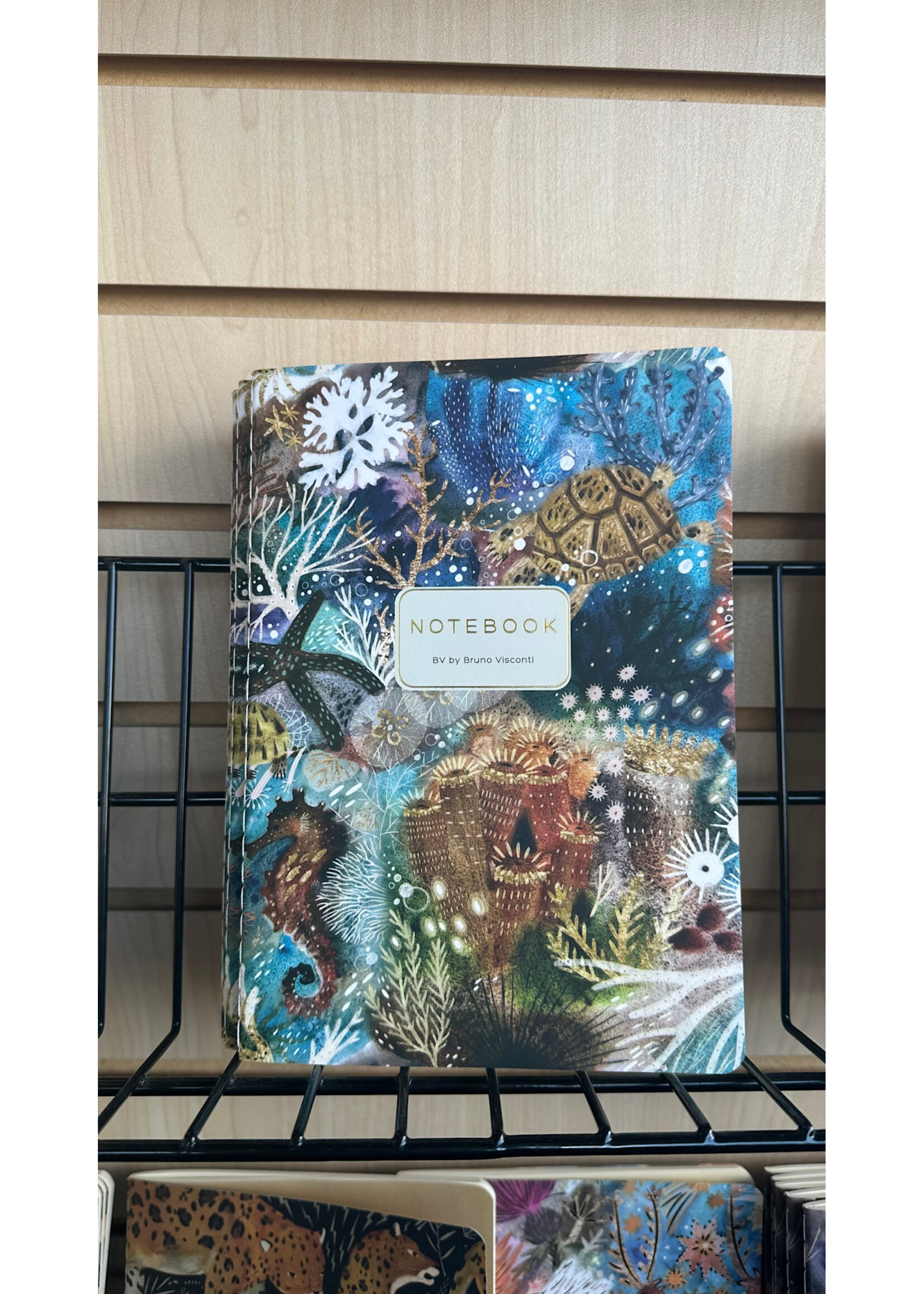 Notebook Coral