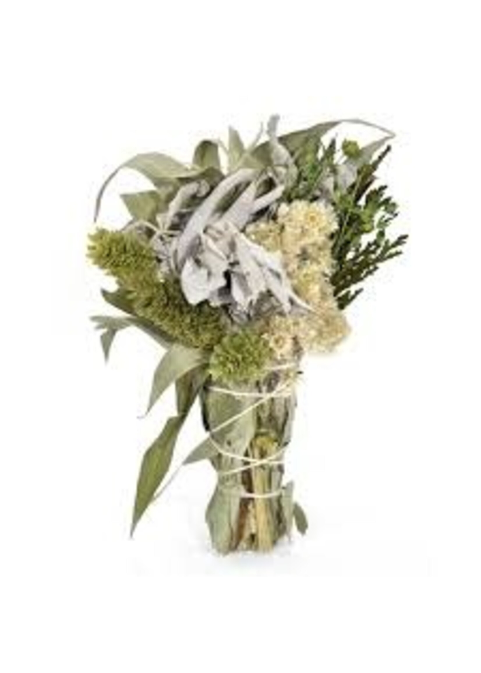 Smudge Wand Willow Sage 6"