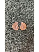 Ammonite Pair 1"