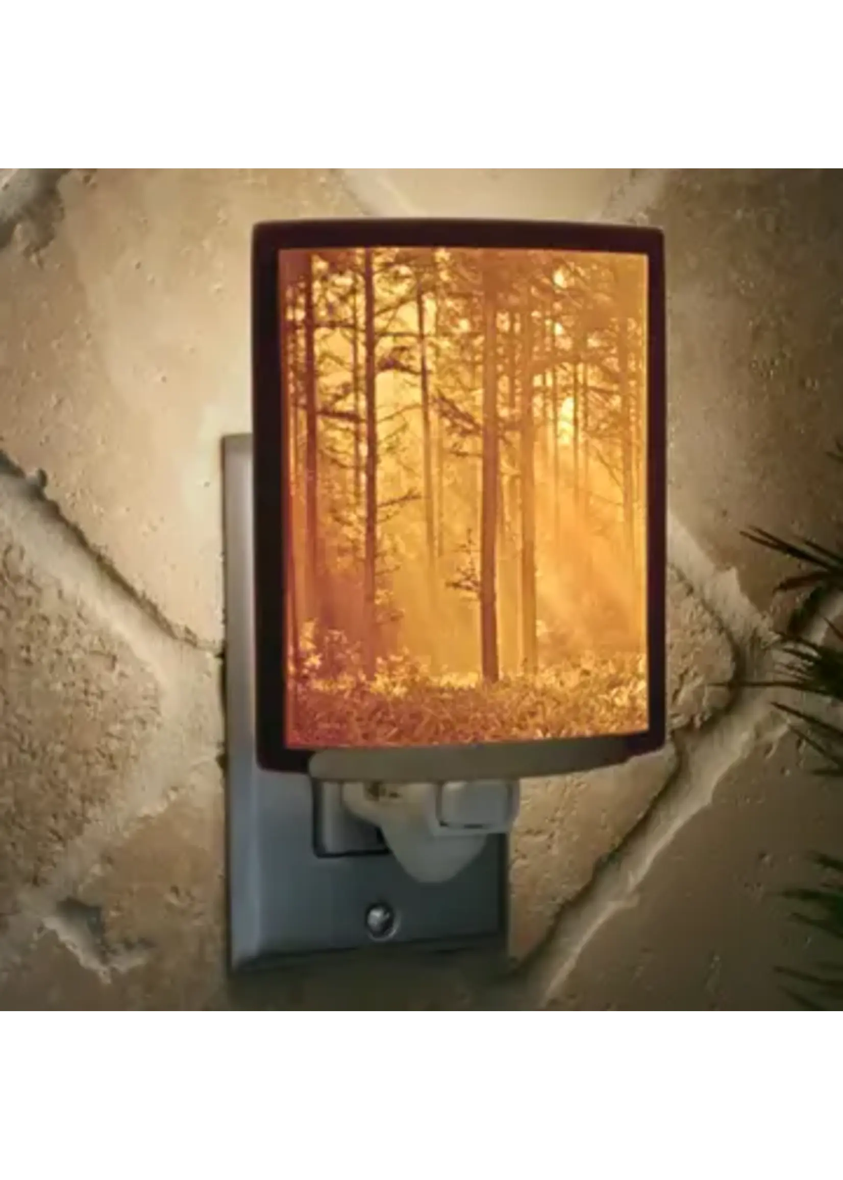 Night Light - Porcelain Lithophane