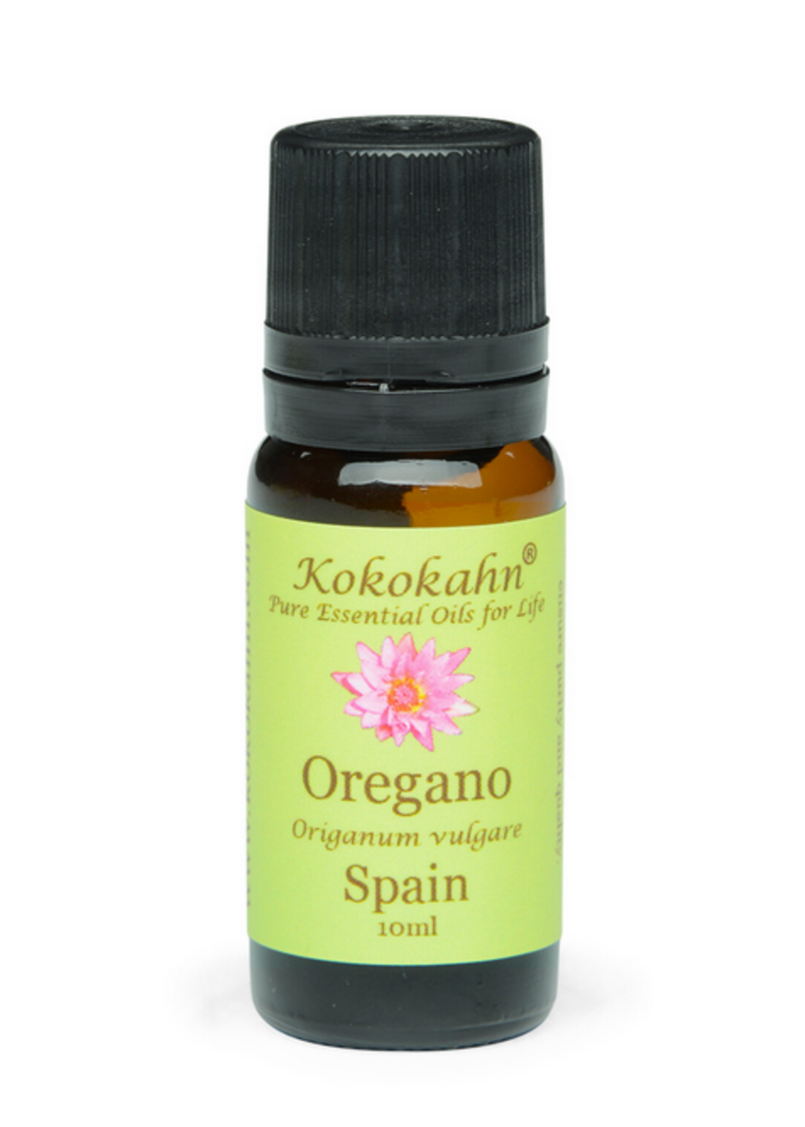 Kokokahn Pure Essential Oils Oregano