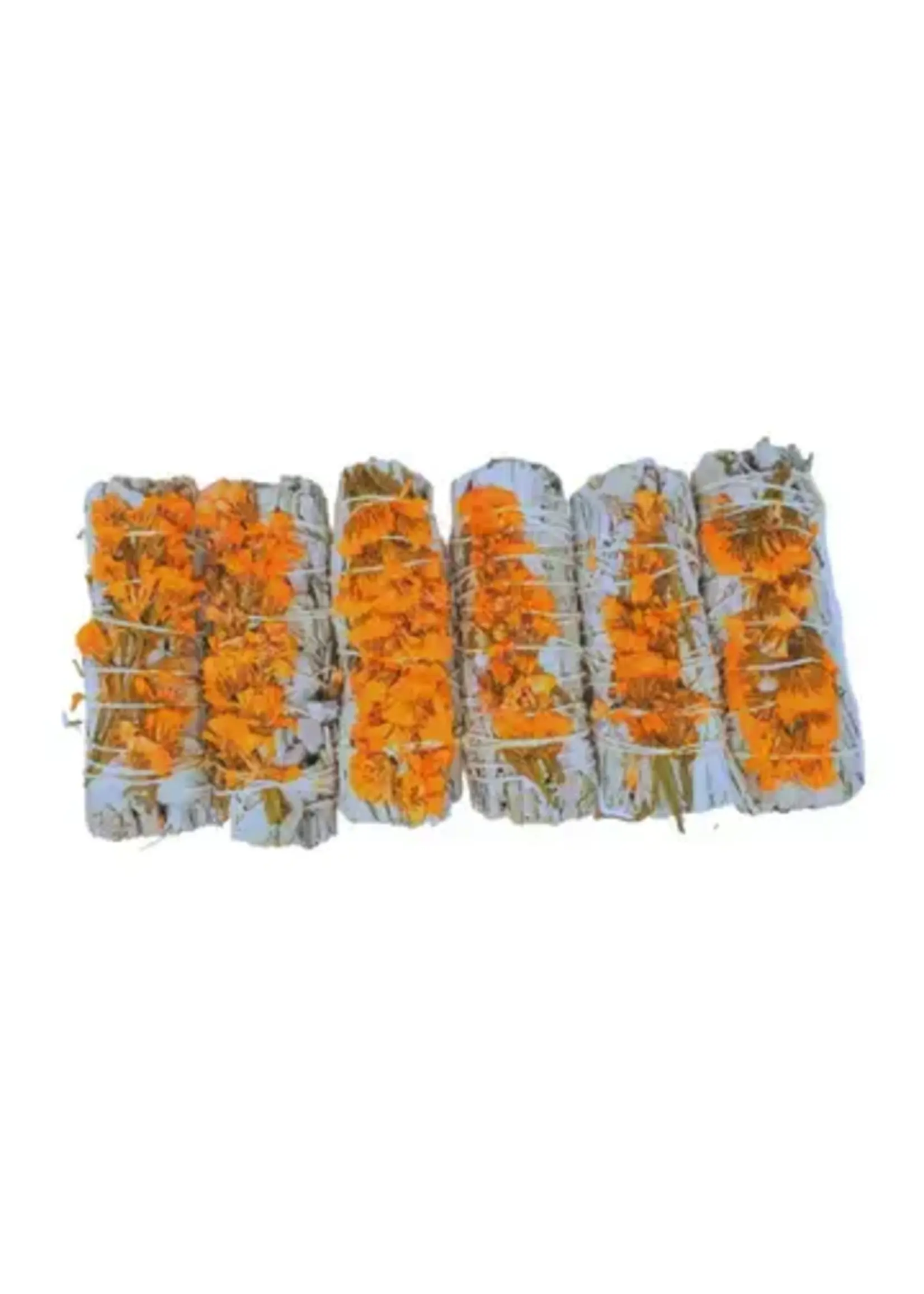 SPICED AUTUMN Smoke Cleansing Smudge Bundle