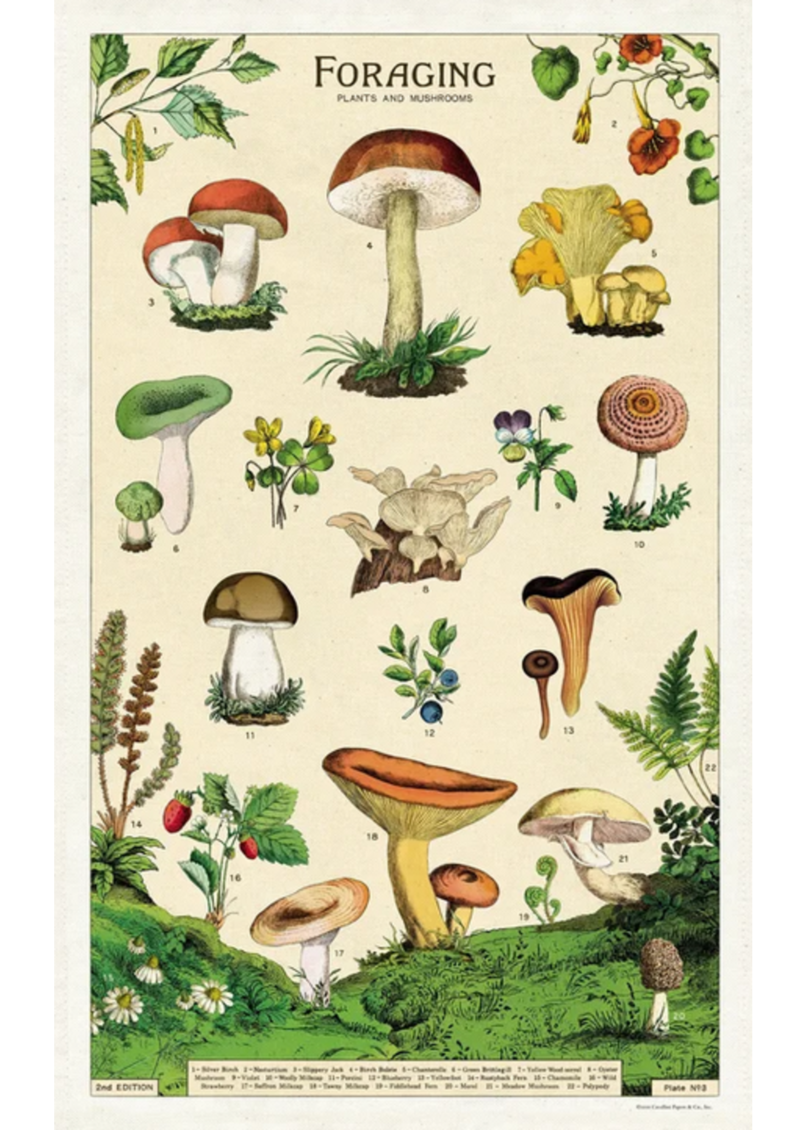 Vintage Tea Towel Mushrooms