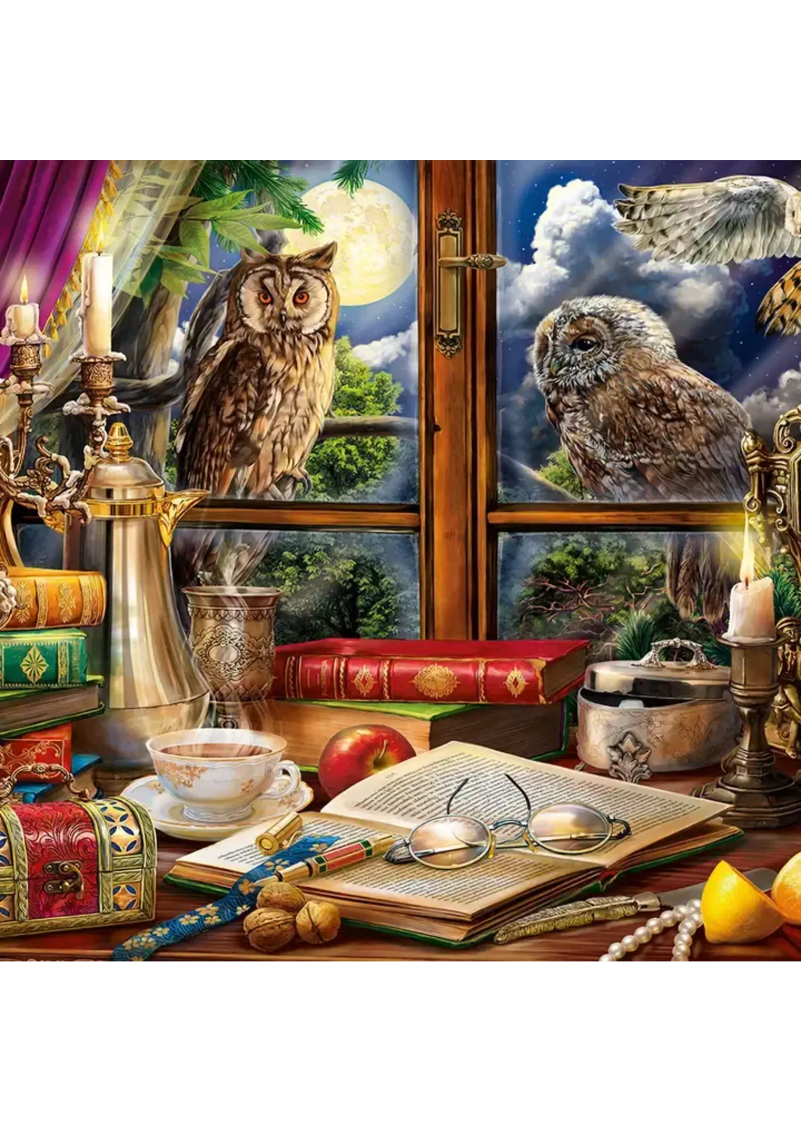 Puzzle Evening with Owls 550 pc