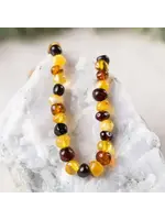 RBAmber Necklace Multi Baltic Amber 21"