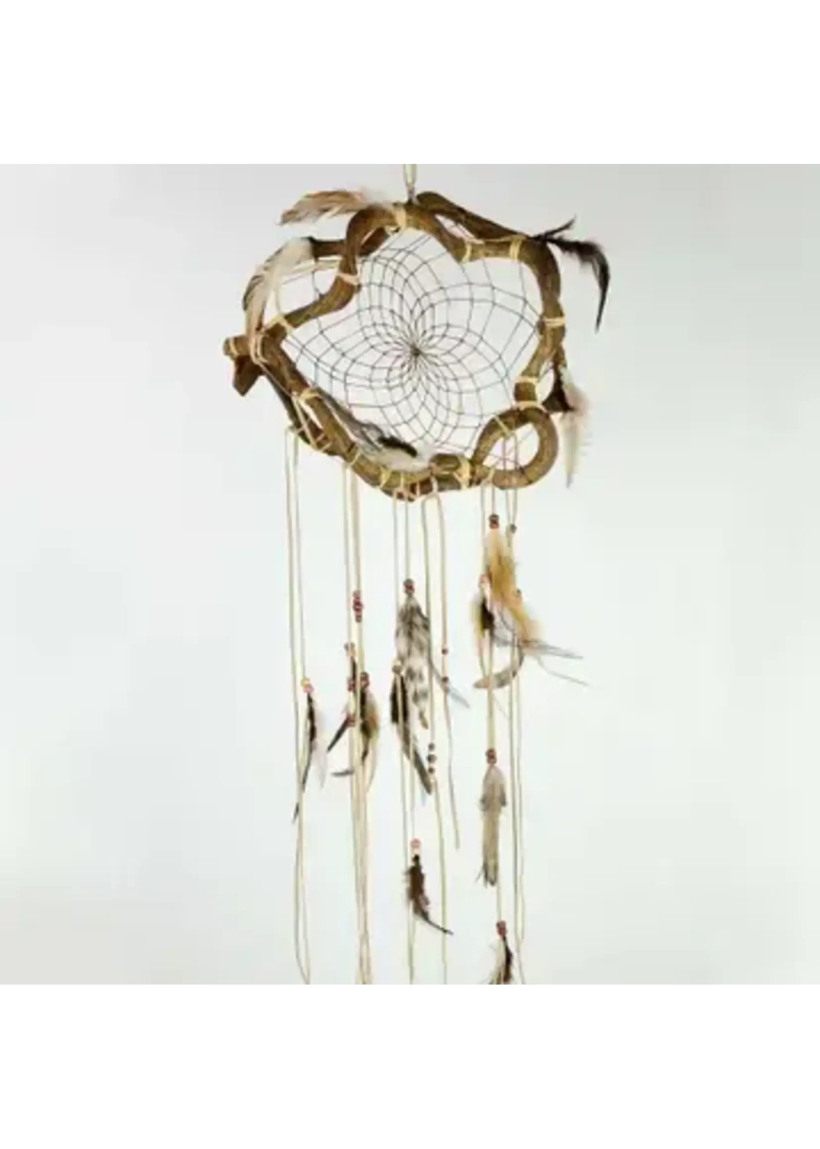 Dream Catcher The Wanderer Brown