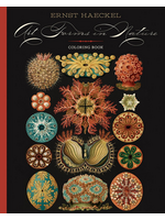 Pomegranate Haeckel Art Forms In Nature Coloring Book
