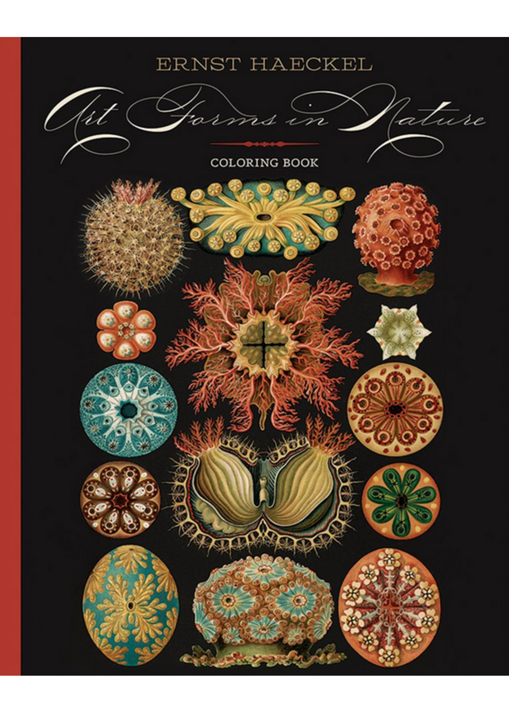 Pomegranate Haeckel Art Forms In Nature Coloring Book