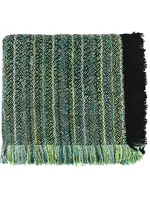 Bedford Collection Asheville Balsam throw 45x70"