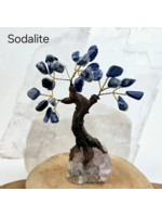 Tumbled Gemstone Tree with Amethyst Crystal Base | Sodalite