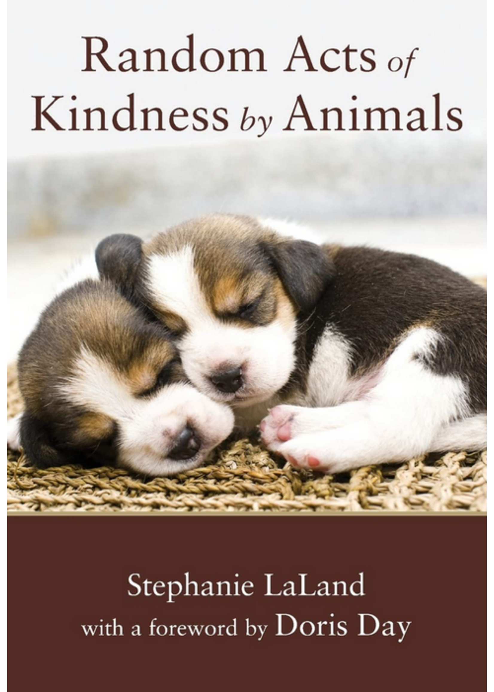 Random Acts of Kindness By Animals