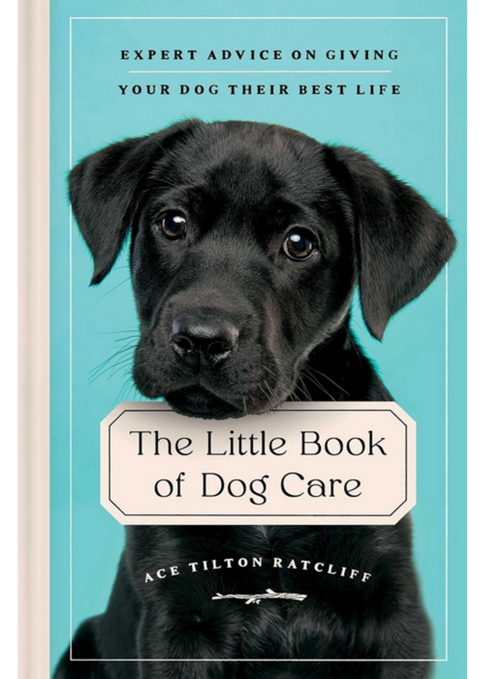 The Little Book Of Dog Care | Expert Advice on Giving Your Dog Their Best Life