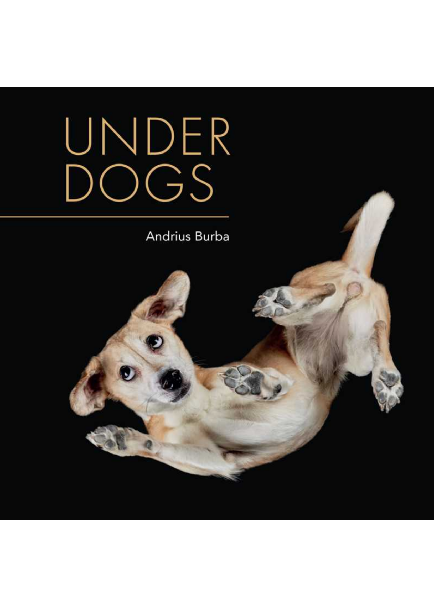 Under Dogs