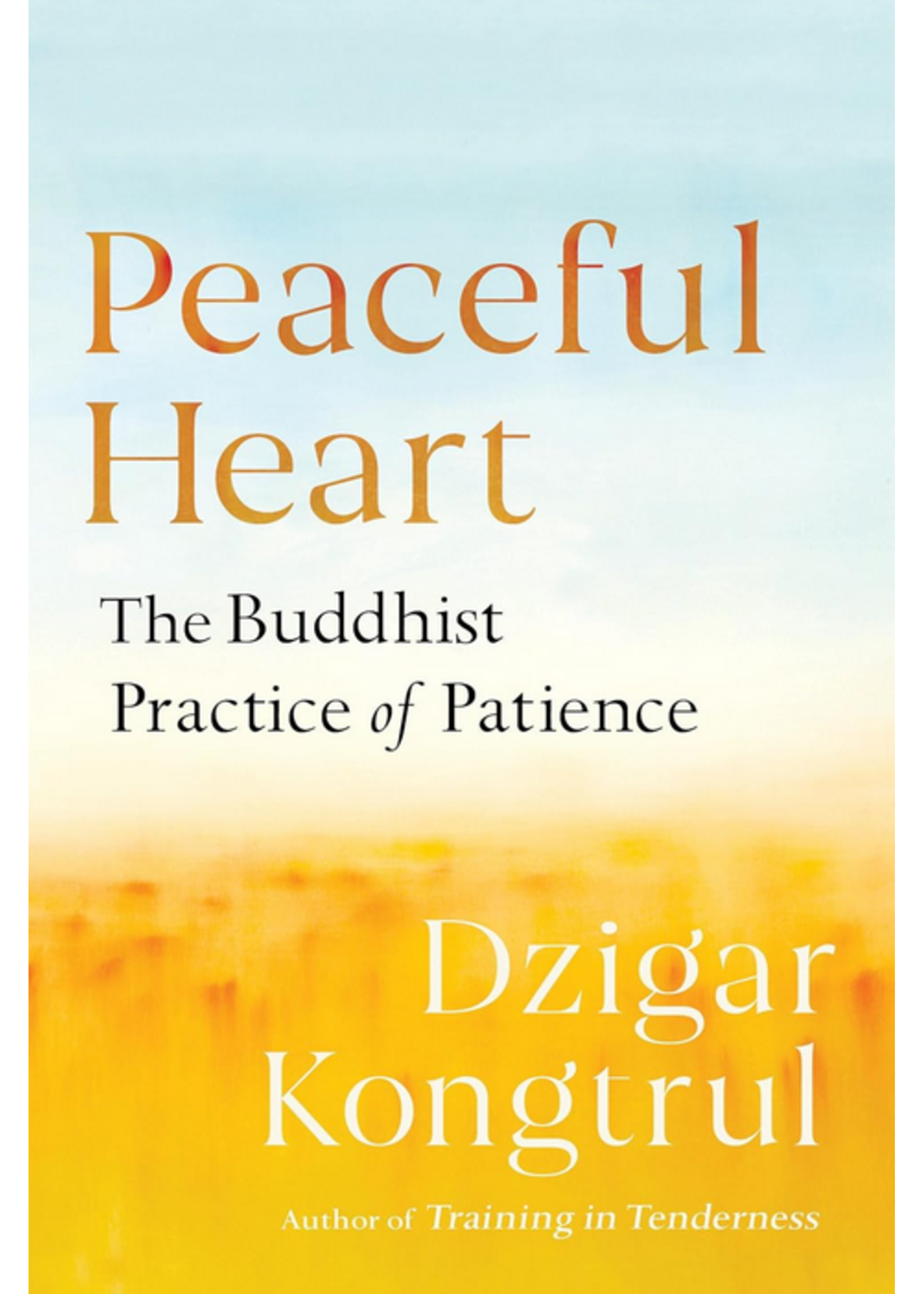 Peaceful Heart | The Buddhist Practice of Patience