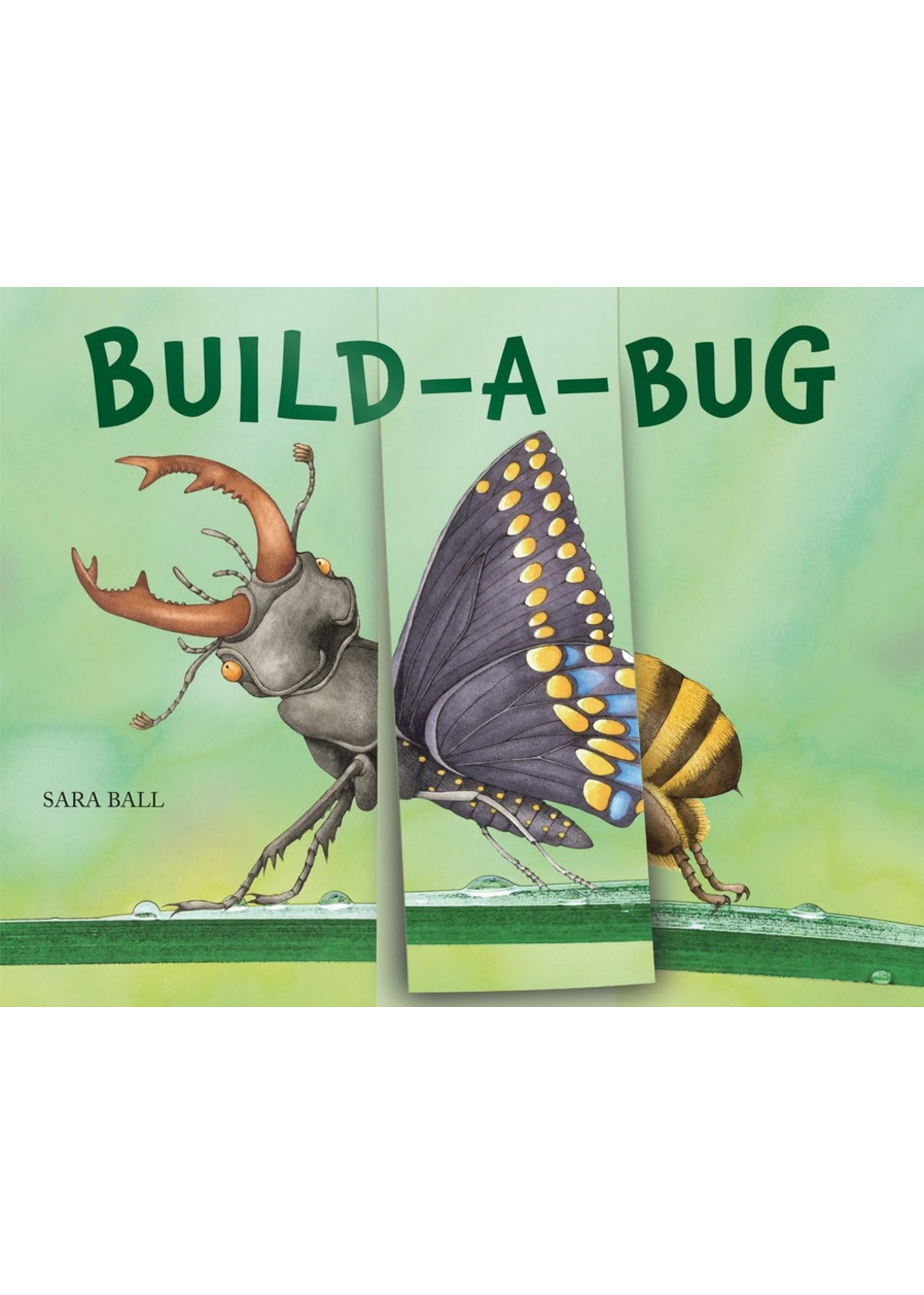Build-A-Bug