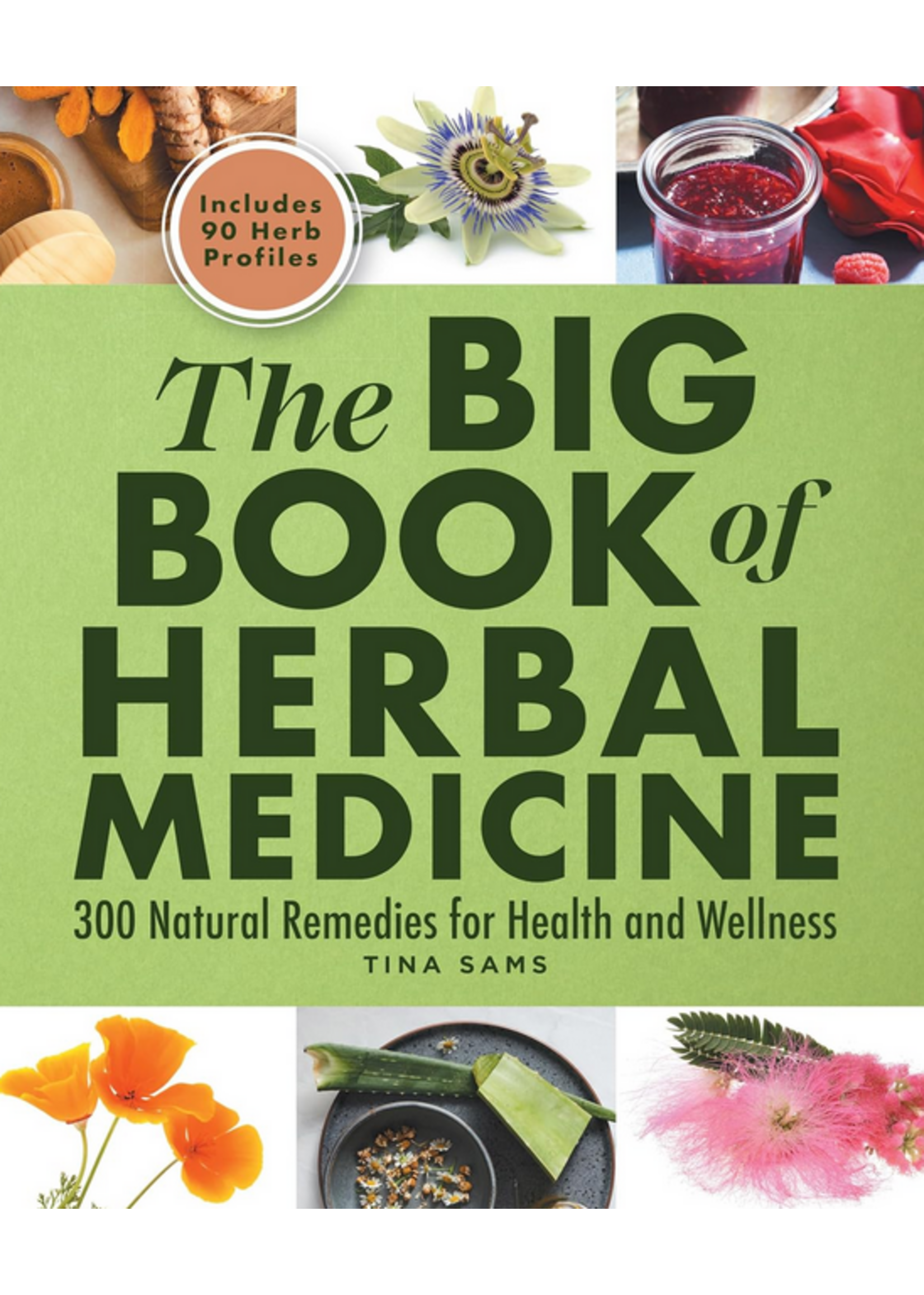 The Big Book Of Herbal Medicine