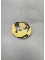 Septarian Palm Stone