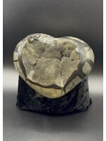 Septarian Dragon Heart