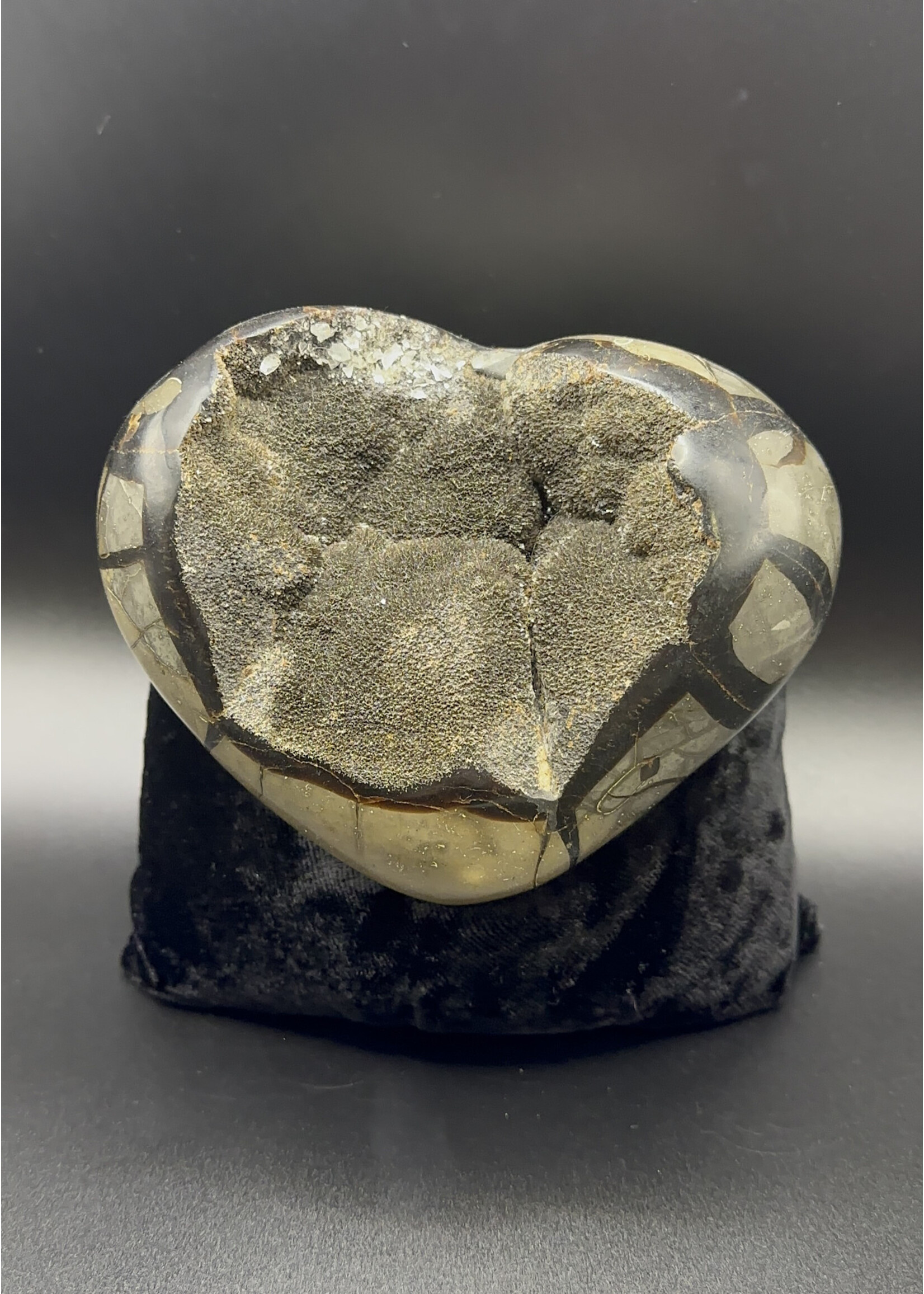 Septarian Dragon Heart