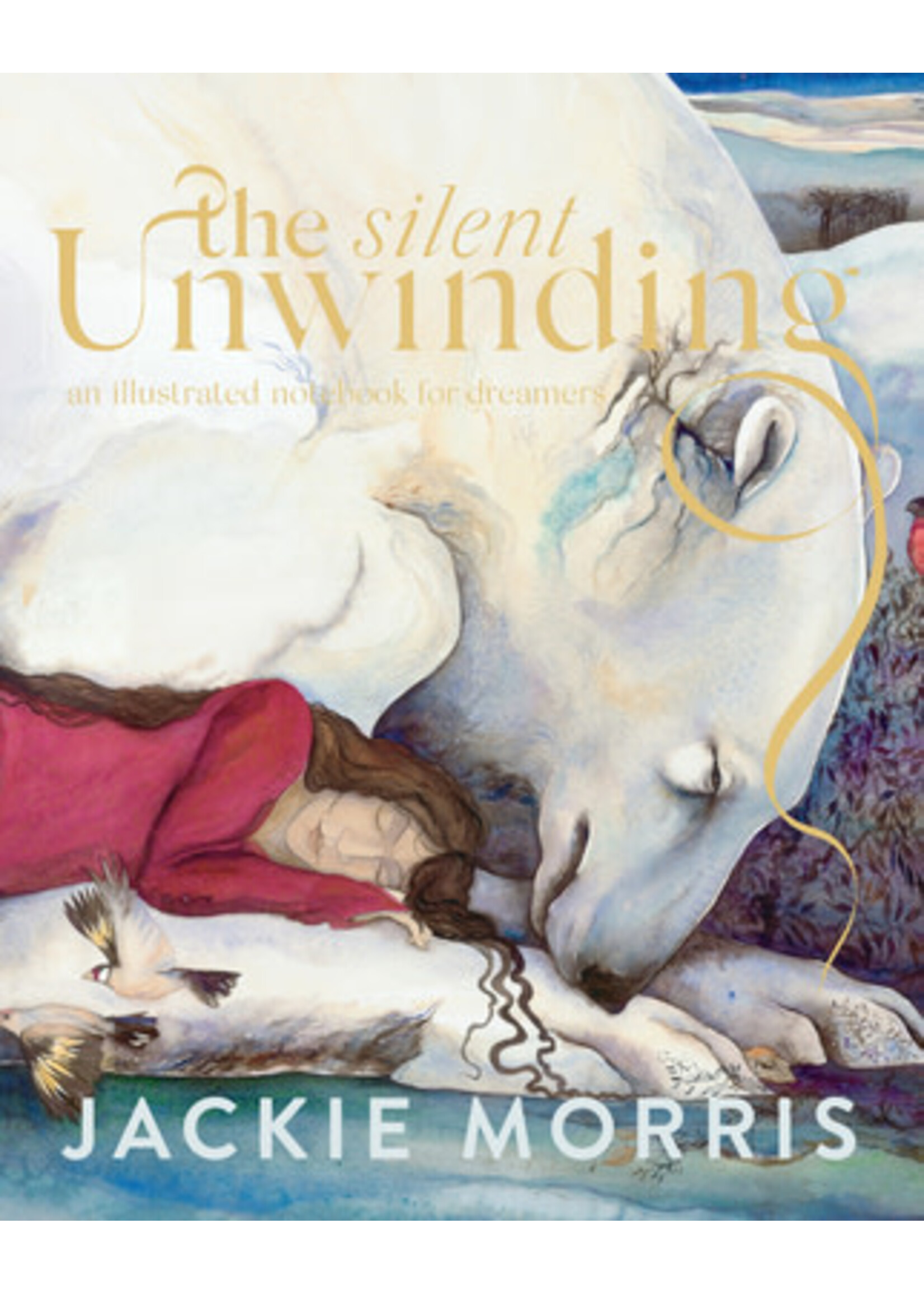 The Silent Unwinding - An Illustrated Notebook for Dreamers