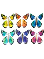 The Magic Butterfly | Rainbow