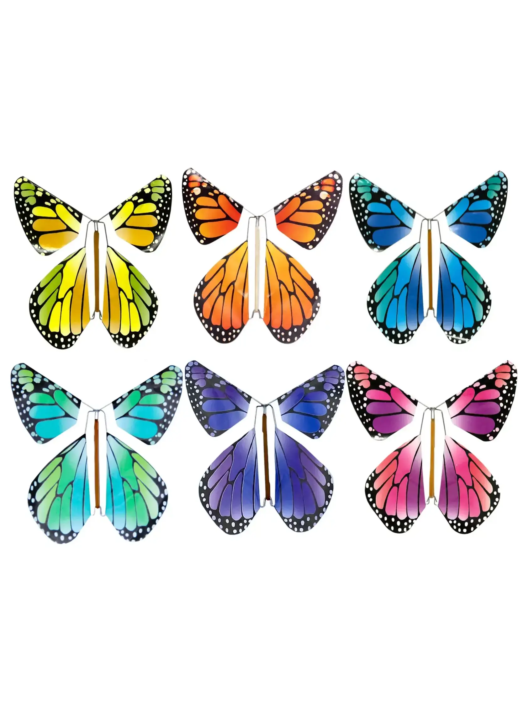 The Magic Butterfly | Rainbow