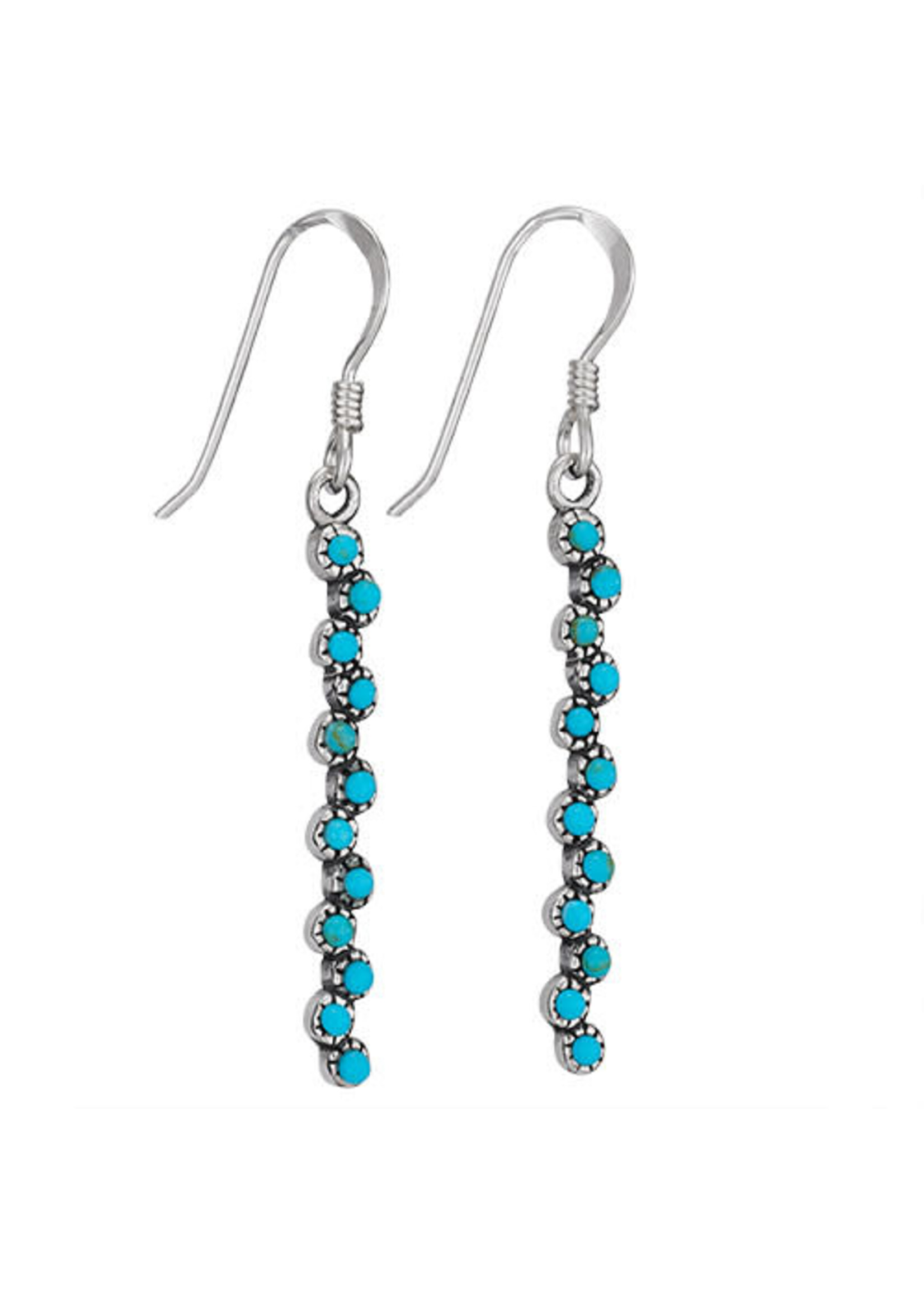 Long Turquoise Dangle Earrings