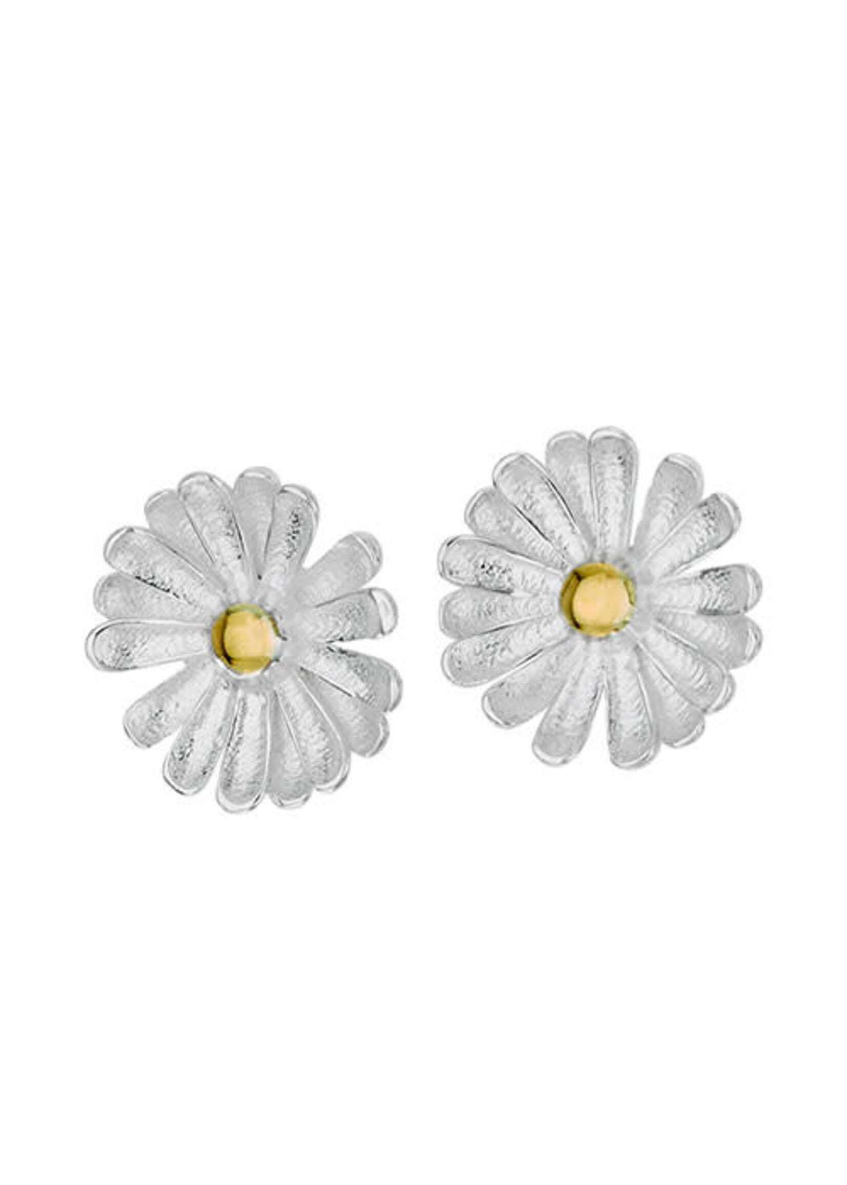 Earrings SS Brass Center Daisy Stud
