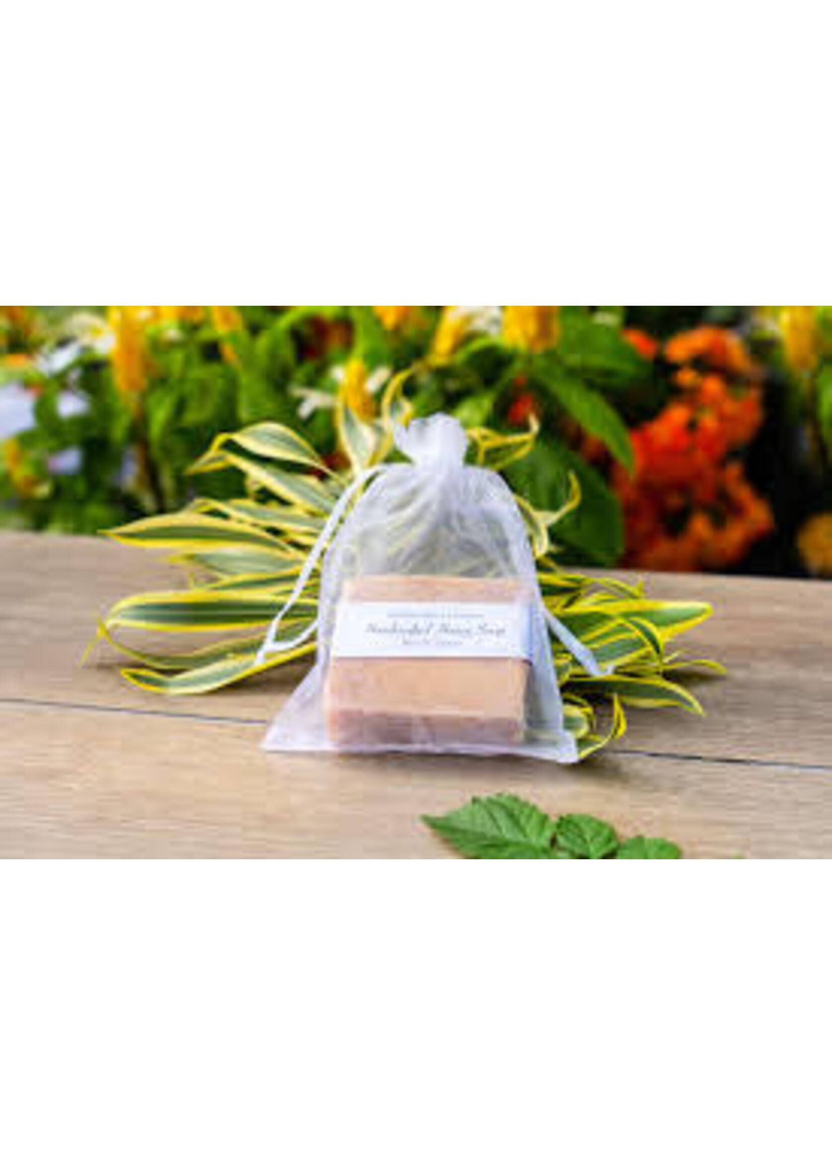 Sarasota Honey Soap Handmade Florida Sunshine
