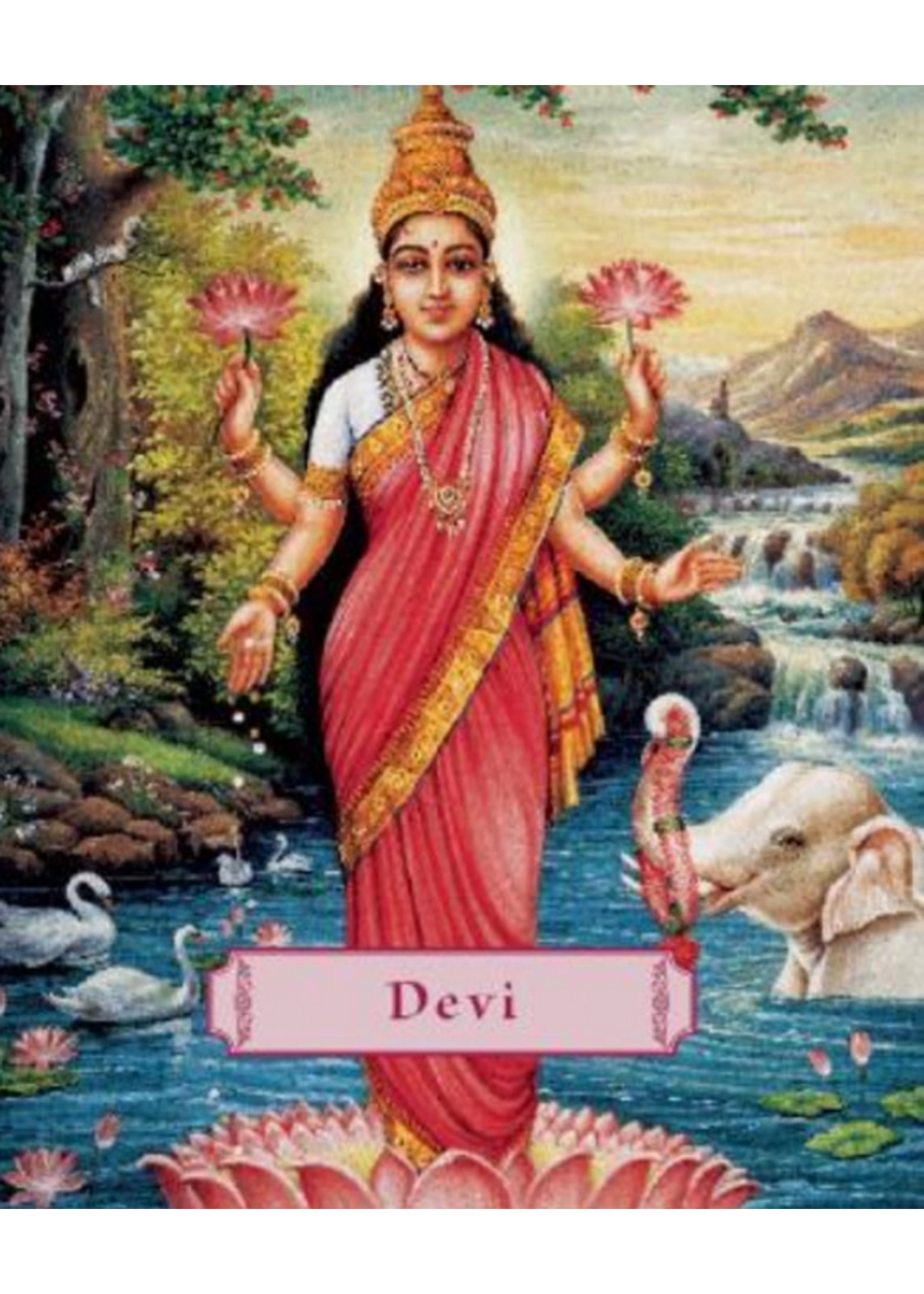 Devi - mini book