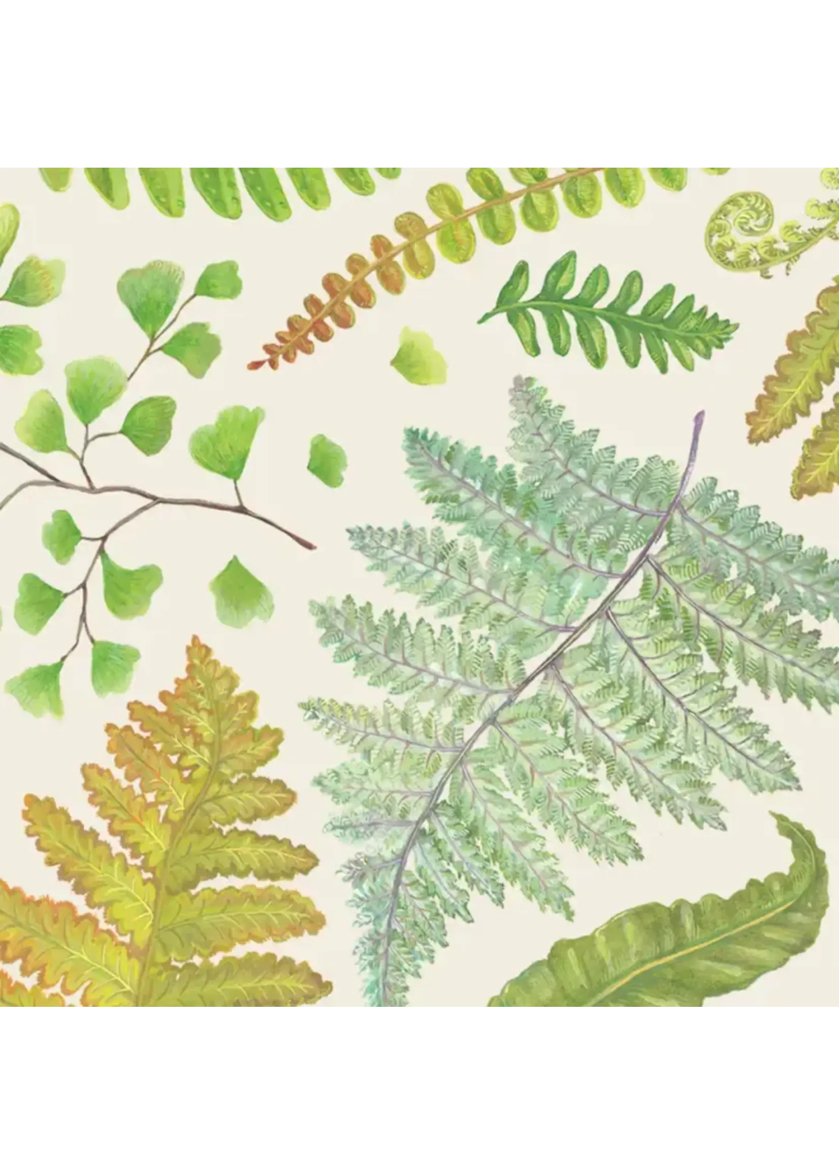 H&C Fern Cocktail Napkin 20ct