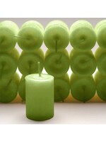 Coventry Creations Herbal Power Votives Sweet Grass