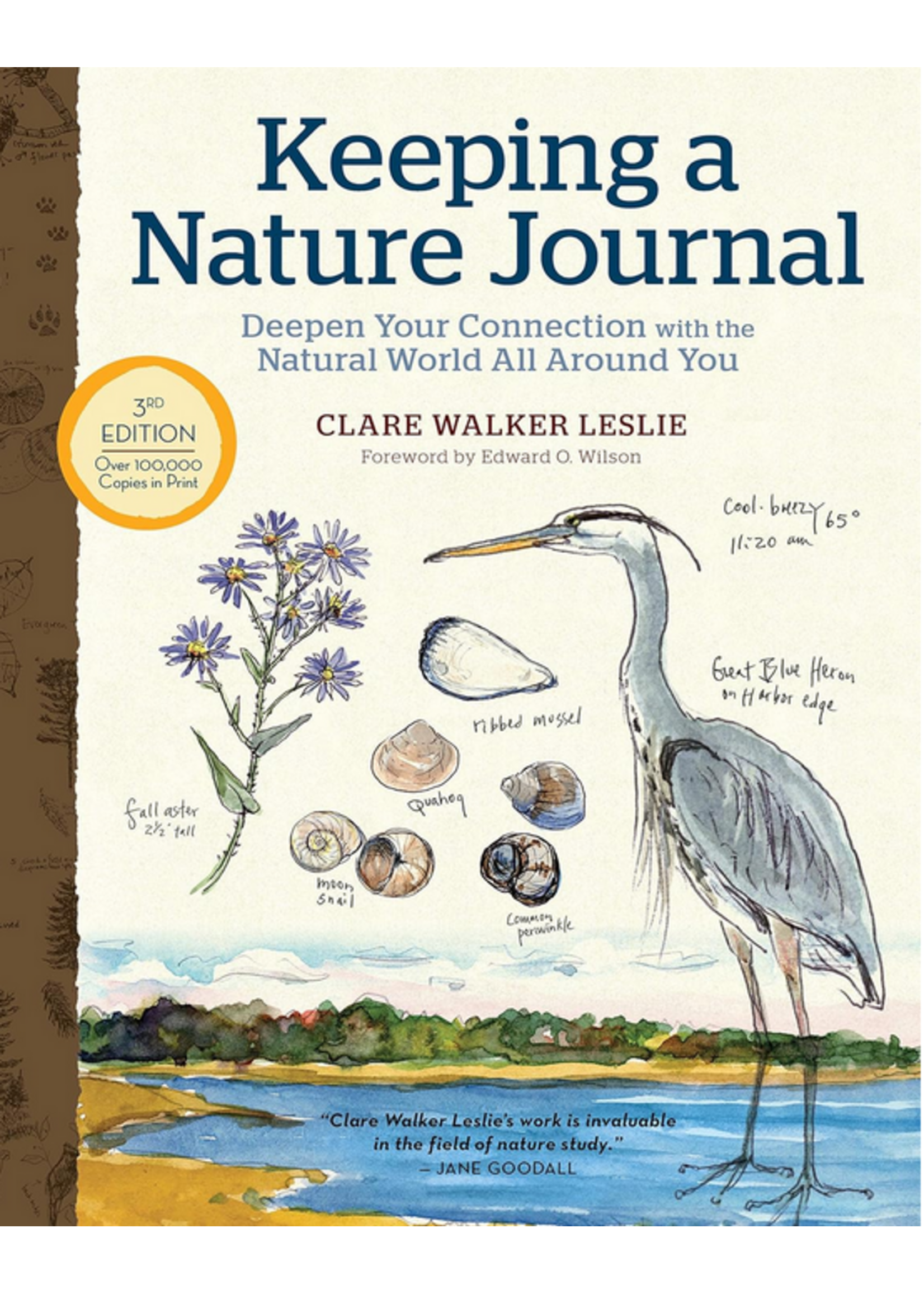 Keeping a Nature Journal: Deepen Your Connection with the Natural World All Around You
