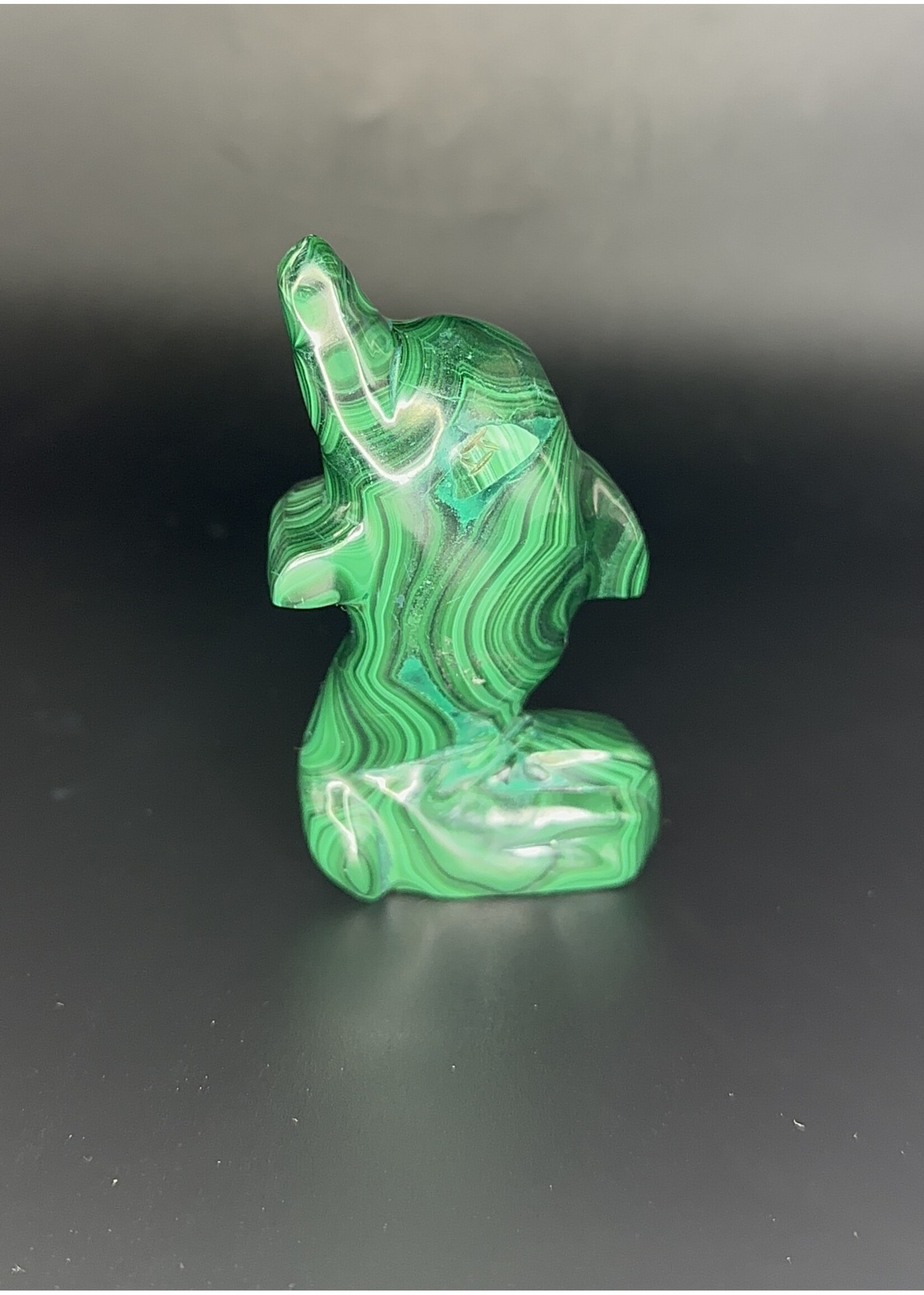 Malachite Dolphin