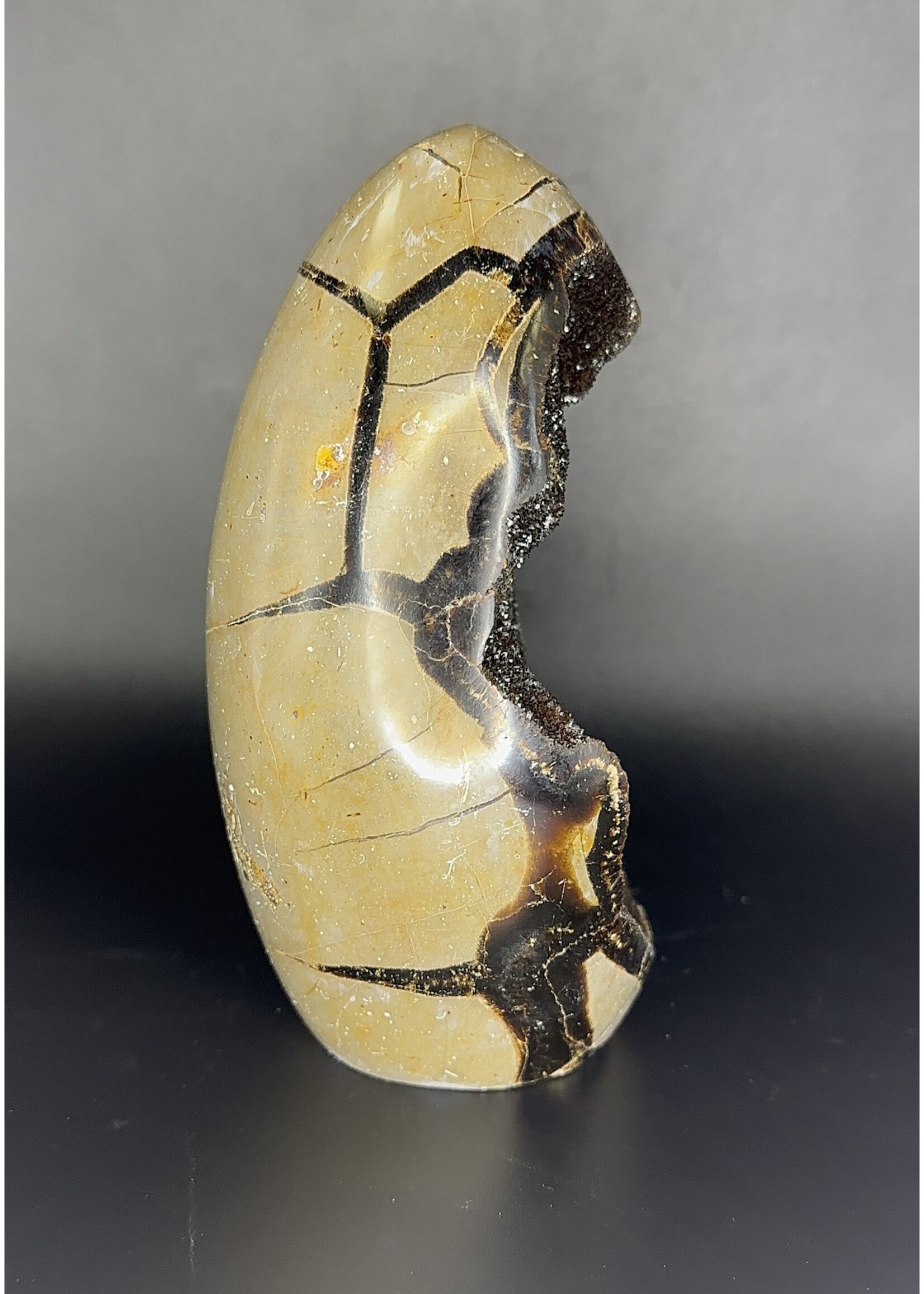 Septarian Egg