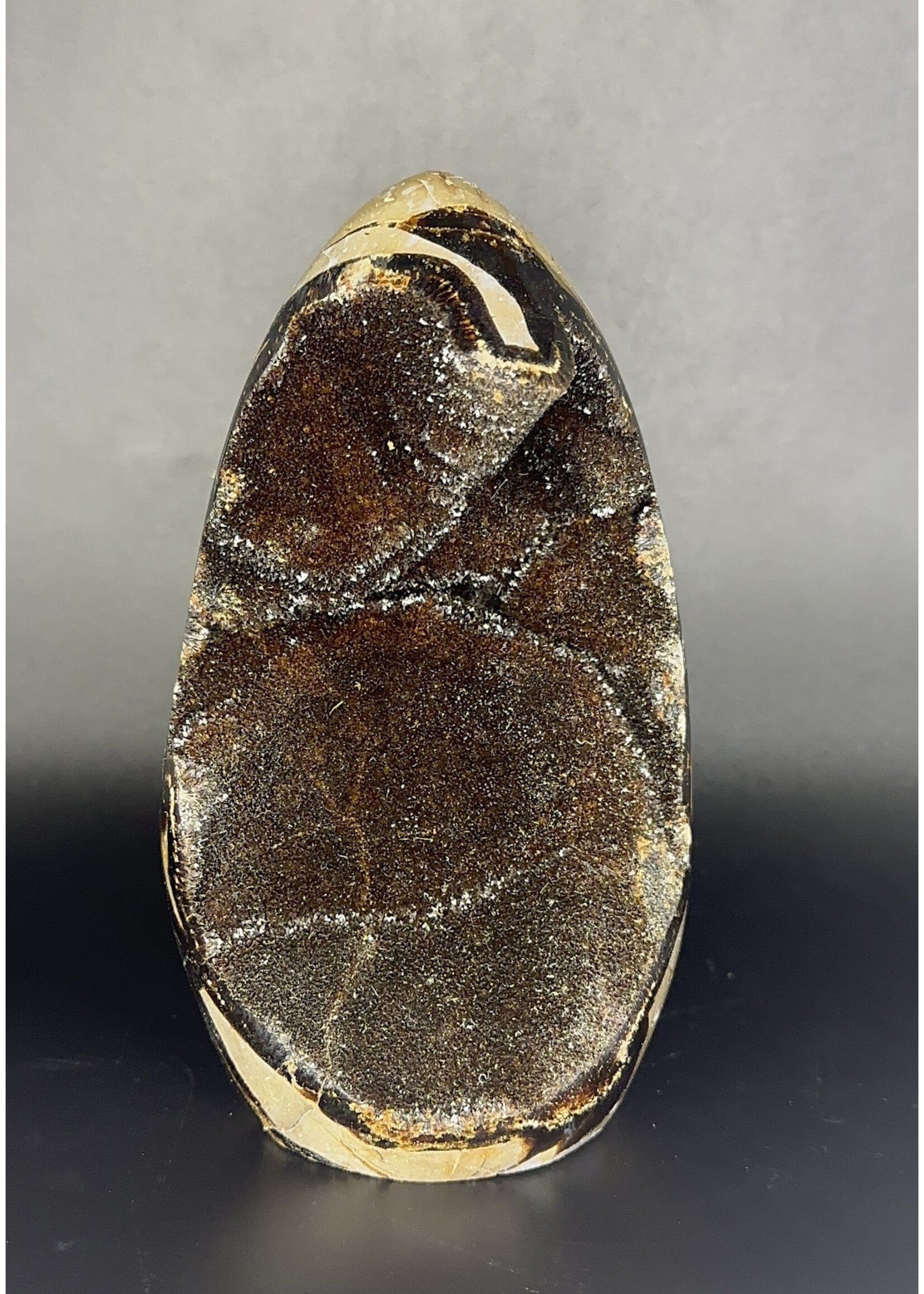 Septarian Egg