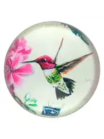 Paperweight Glass Dome Hummingbird